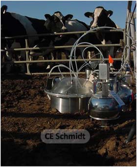 flux measurement dary manure